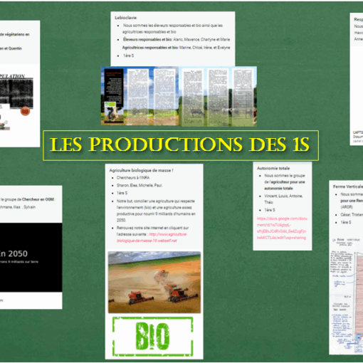 Production de 1S