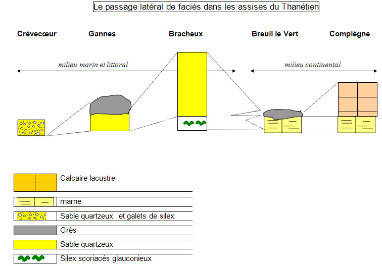 Le passage latéral de faciès dans les assises du Thanétien